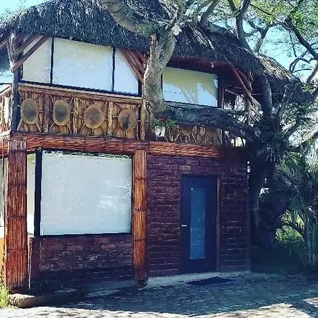 Casa Del Arbol Bed and Breakfast